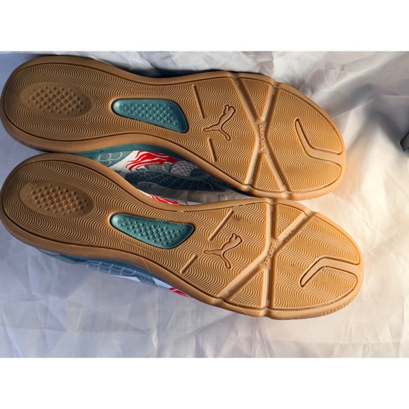 Puma evoSPEED Indoor Soccer Shoes White Teal Red Dragon Graphic Mens Gum 9.5 main image 9